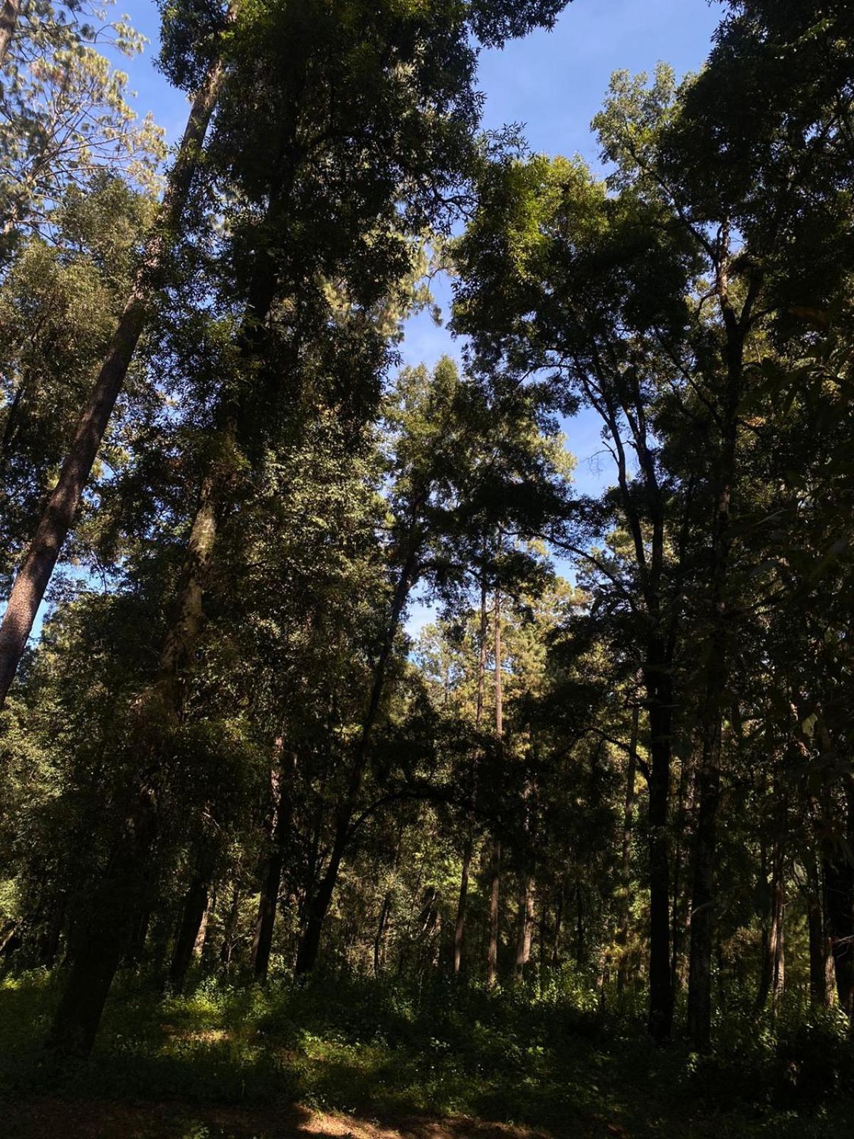 Cabanas Keikary Valle de Bravo Dış mekan fotoğraf